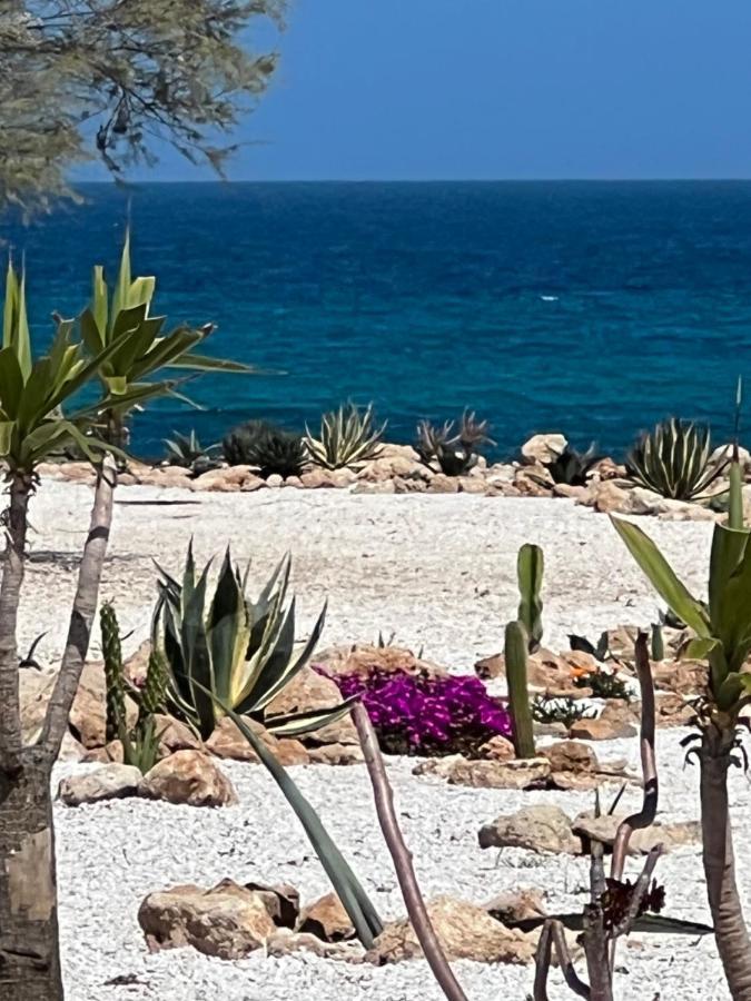 Masseria Mare Agri