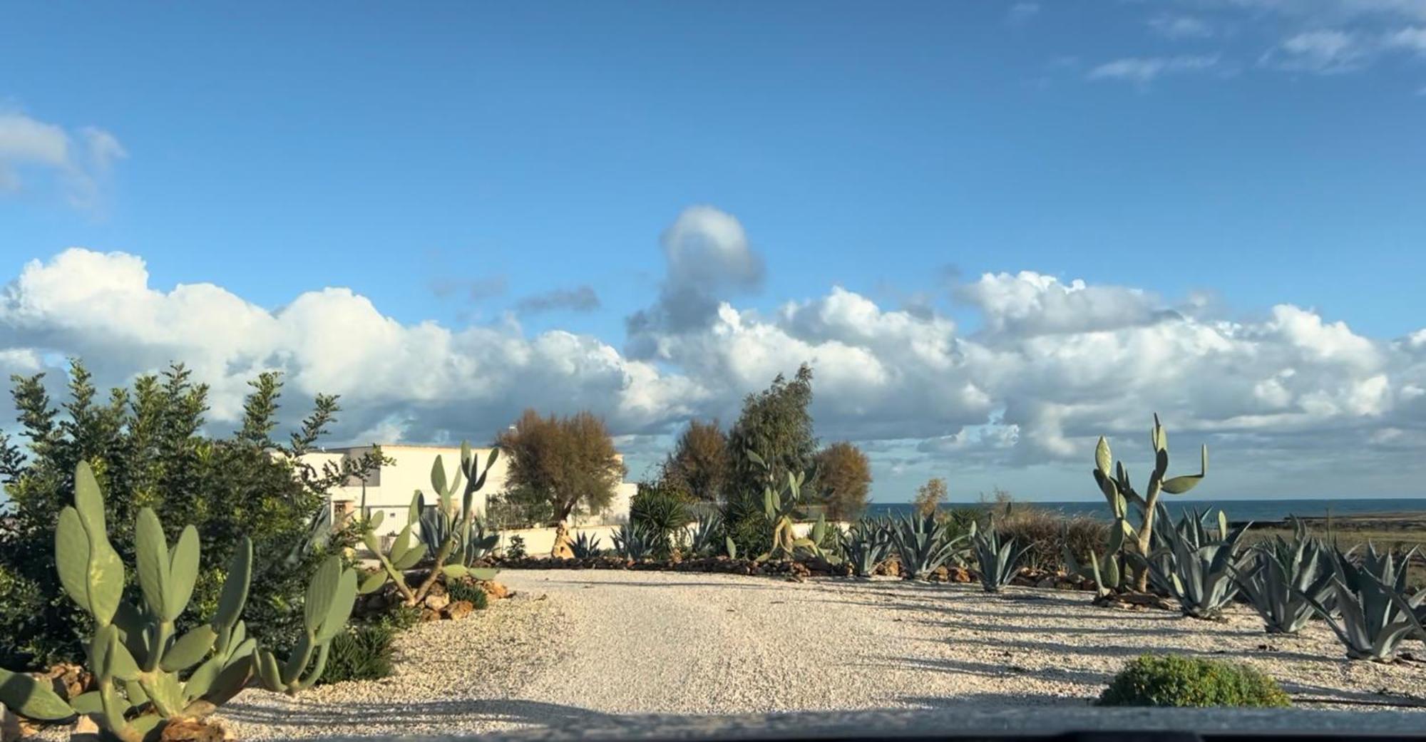 Masseria Mare Agri Ostuni